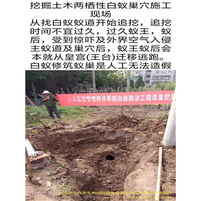 荊門(mén)白蟻防治中心介紹了建筑物白蟻的