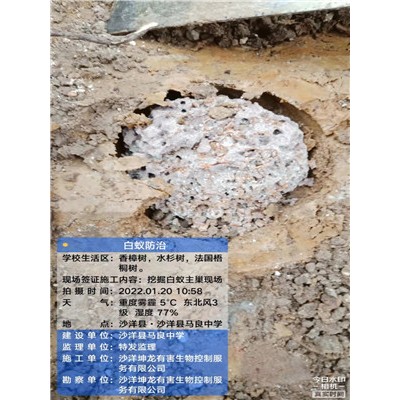 荊門(mén)白蟻防治公司介紹了白蟻在新建房