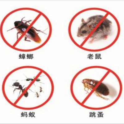 臺州滅白蟻公司介紹白蟻的生物特性和