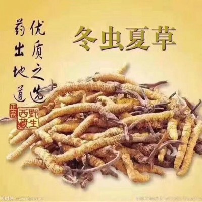 濟南冬蟲夏草回收提供專業(yè)的濰坊煙酒