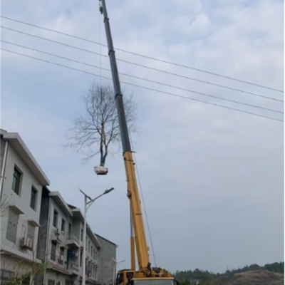 你知道高空車在哪些行業中的應用比較