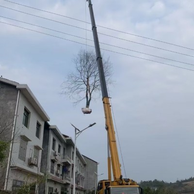 吊車的交付時間是如何確定的，能否按